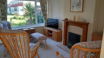 Älytelevisio, takka, DVD-soitin, kirjoja