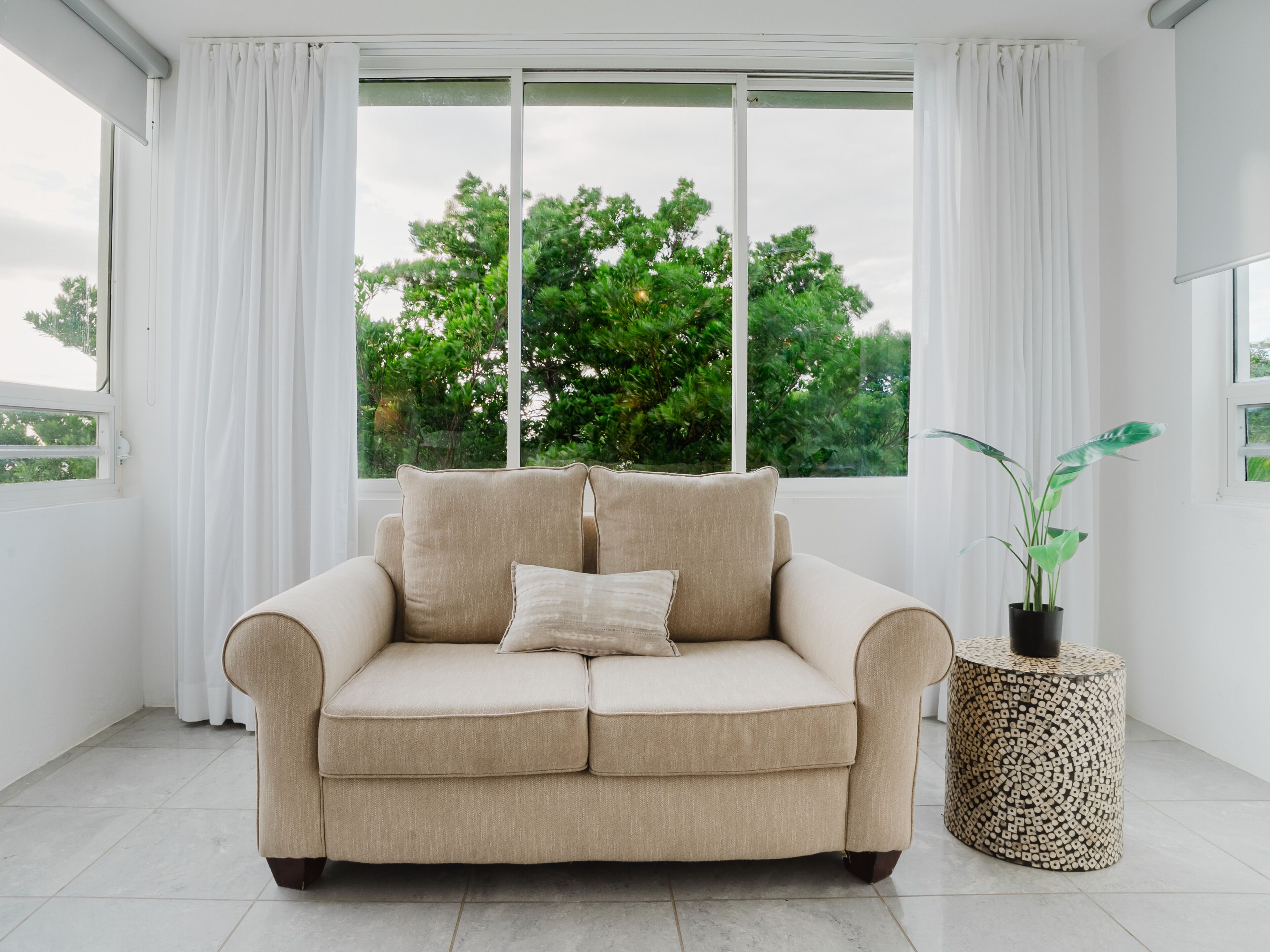 A beige sofa with two cushions, a potted plant, and a window with curtains.