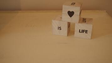 Free toiletries, hair dryer, towels, toilet paper