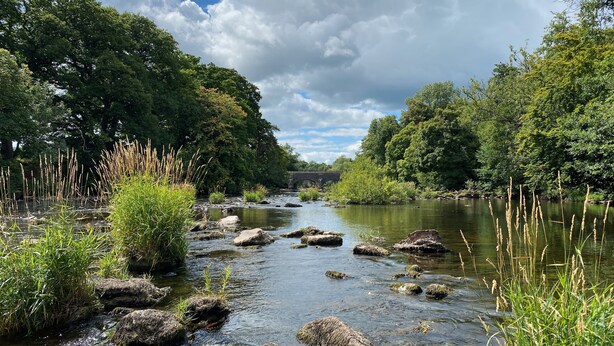A river with rocks and greenery on both sides, a bridge in the distance, and a partly cloudy sky.