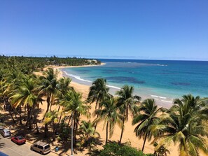 A beach with palm trees, a sandy shore, and a clear blue ocean.
