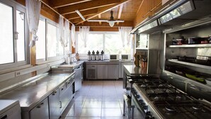 A modern kitchen with stainless steel appliances, a central island, and large windows. - One of the biggest Villas Near Athens Greece 40% off January 1 to May 15 (ANAVISSOS)