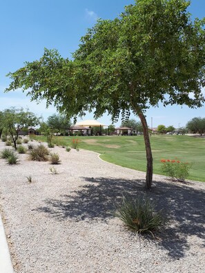 Golf - Gorgeous new home in Estrella Mountains (Goodyear)