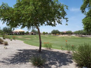 Golf - Gorgeous new home in Estrella Mountains (Goodyear)