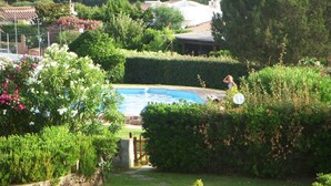 Une piscine entourée d’une végétation luxuriante et d’un mur de pierre.