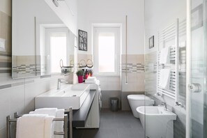 Shower, hair dryer, bidet, towels