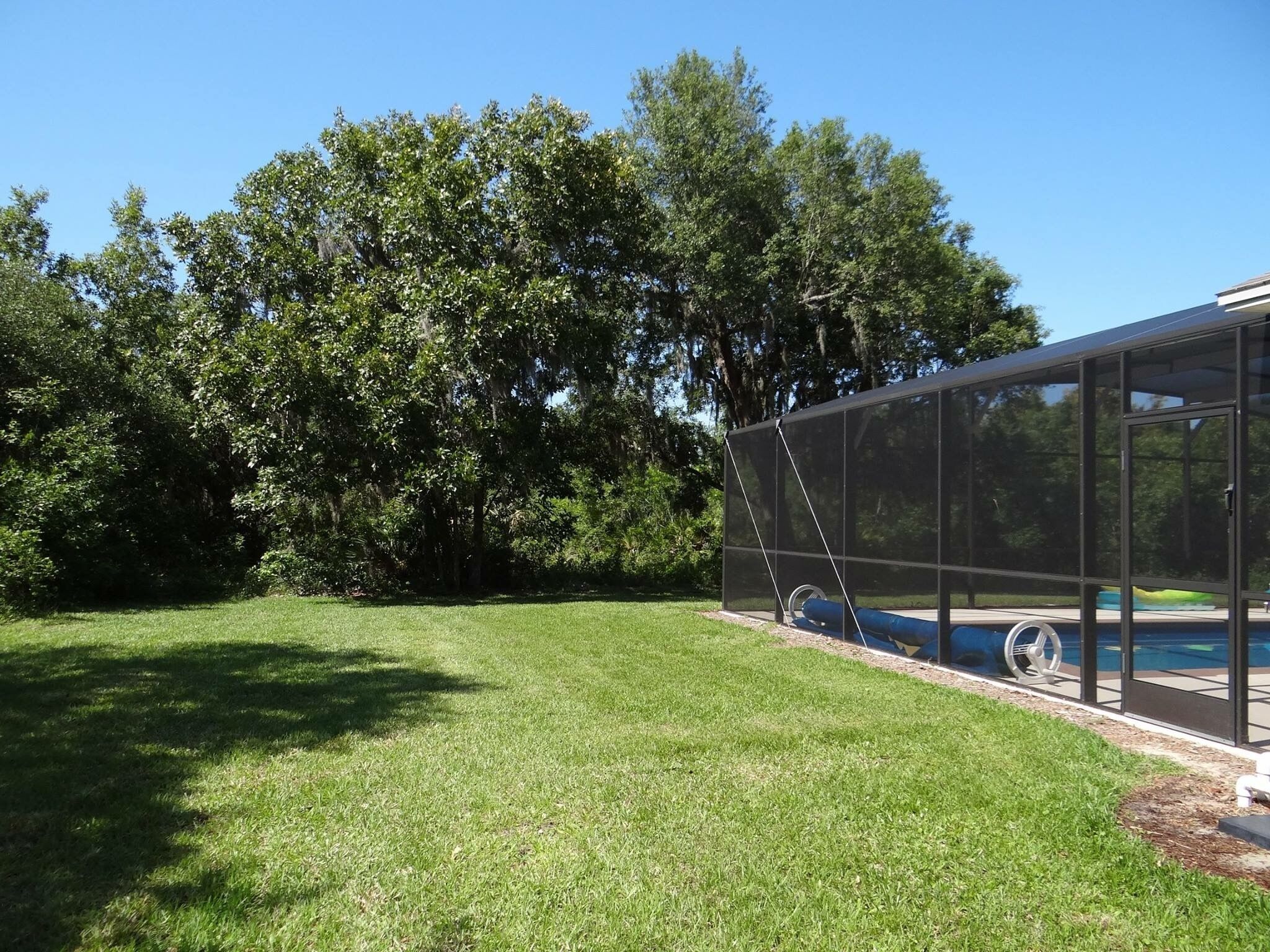 A swimming pool with a glass enclosure, surrounded by a well-maintained lawn and dense trees.