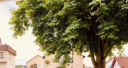 Luxury Apartment new & stylish