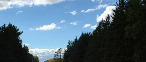 A road flanked by dense forests under a partly cloudy sky.