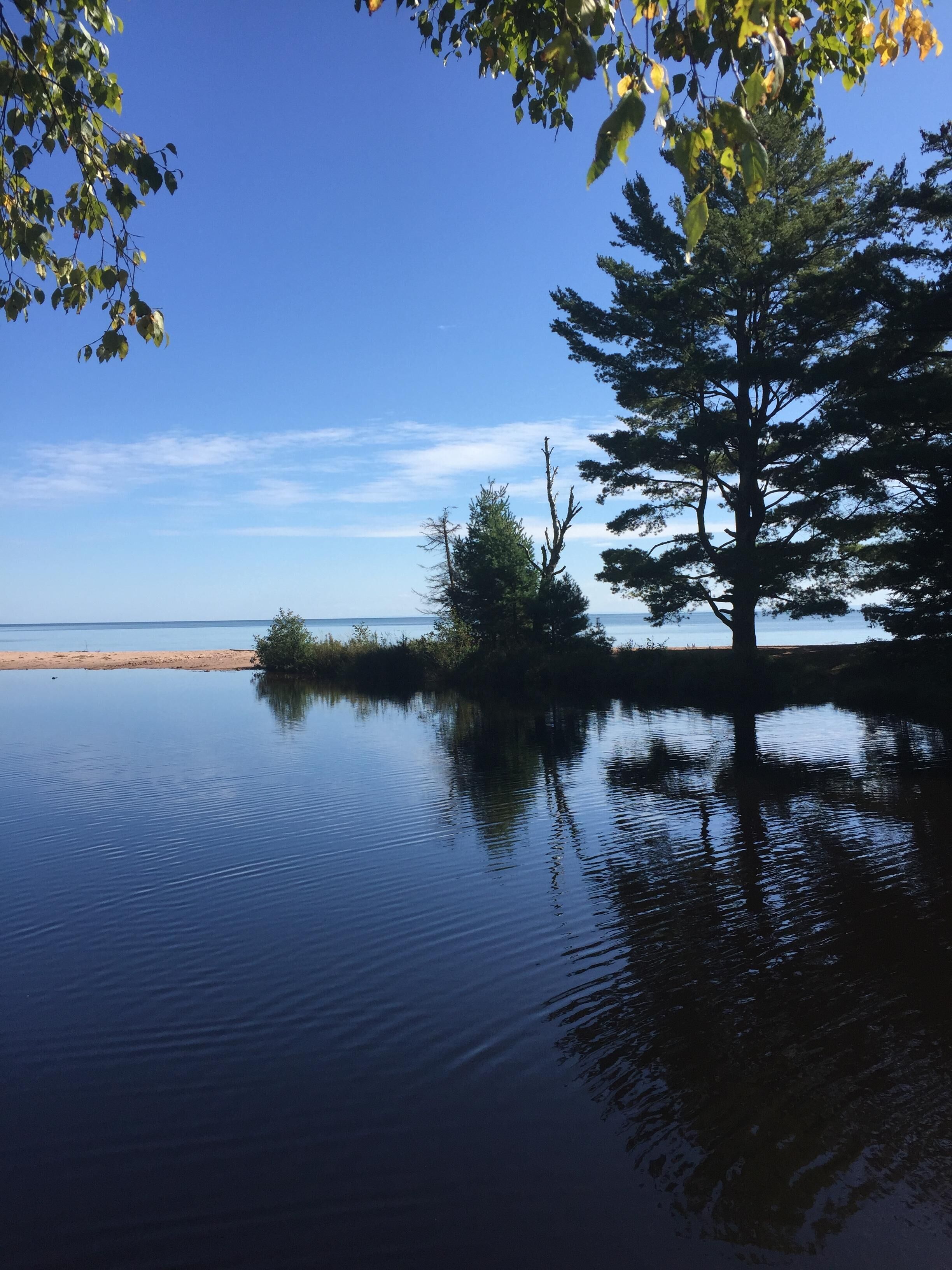 Un lago tranquilo con un árbol en primer plano y un cielo despejado.