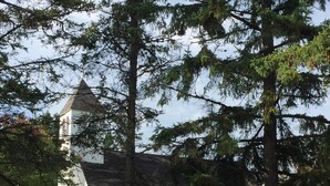 A white church with a steeple, surrounded by a grassy lawn and tall trees. - Escape To Madeline Island !  Superior Lakefront 2 Bedroom Condo  (La Pointe)