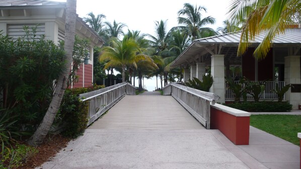A pathway leading to a building with a covered walkway, surrounded by palm trees and greenery.