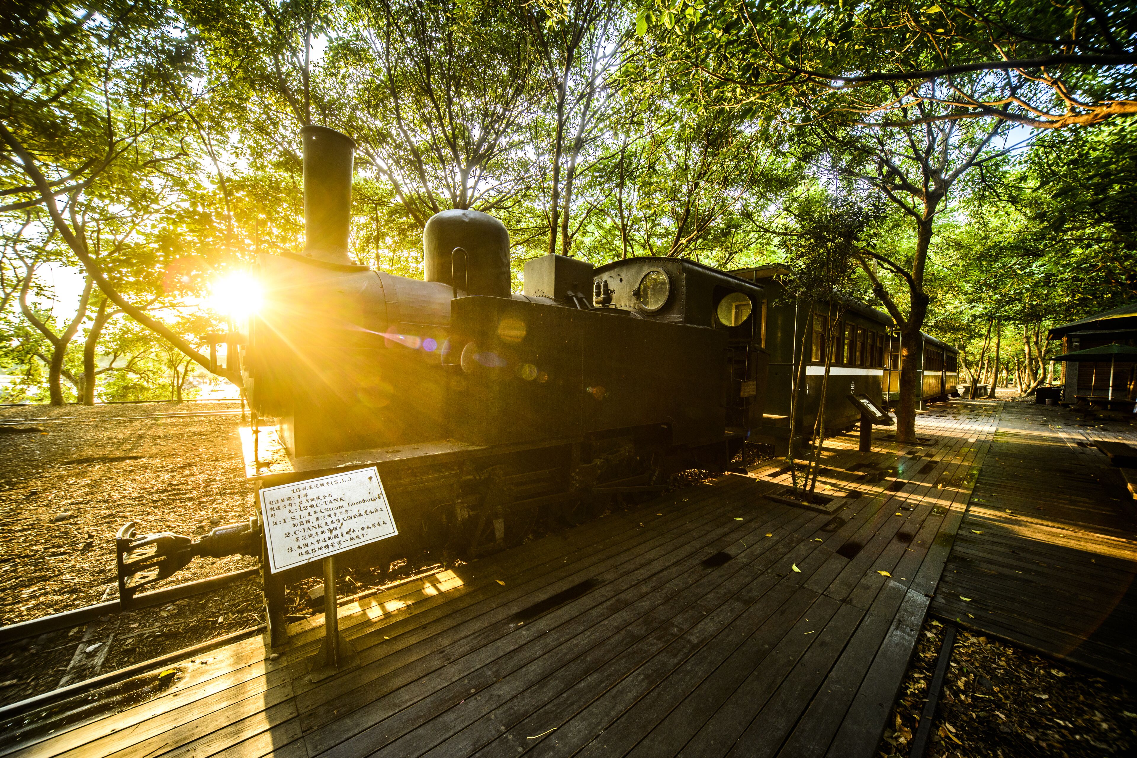 Una locomotora de vapor sobre una vía de madera con un cartel, rodeada de árboles y luz solar.