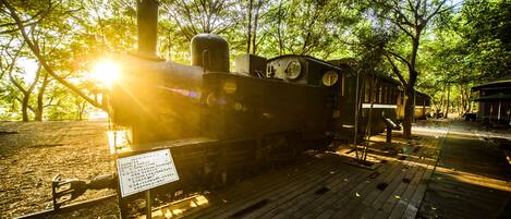 Una locomotora de vapor sobre una vía de madera con un cartel, rodeada de árboles y luz solar.