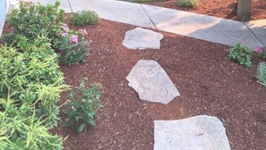 A landscaped backyard with a wooden fence, a lawn, and various shrubs and plants. - BLOSSOM VIEW COTTAGES: Luxurious 3 Bedroom + Den  Near Theaters, Downtown (Ashland)