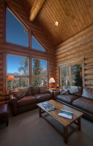 Smart TV, fireplace, video games, DVD player