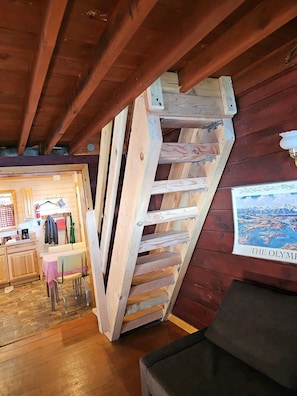 TV, fireplace, books, stereo - Waterfront Puget Sound cabin, minutes from Bainbridge Ferry to downtown Seattle (Suquamish)