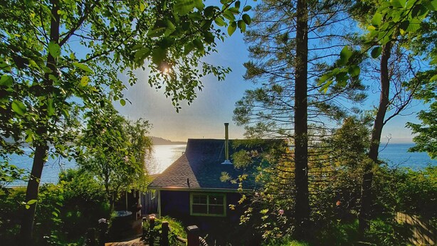 A wooden pathway leading to a building with a view of the sea. - Waterfront Puget Sound cabin, minutes from Bainbridge Ferry to downtown Seattle (Suquamish)