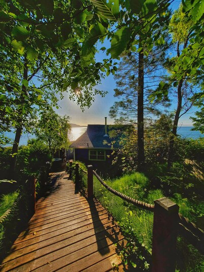 Waterfront Puget Sound cabin, minutes from Bainbridge Ferry to downtown Seattle