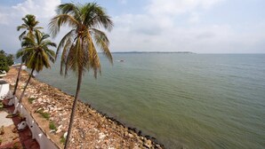 Une vue sur la côte, avec des palmiers et une rive rocheuse.