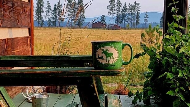 Eine Holzterrasse mit einer rustikalen Bank und einer grünen Tasse mit einem Hirschmuster.