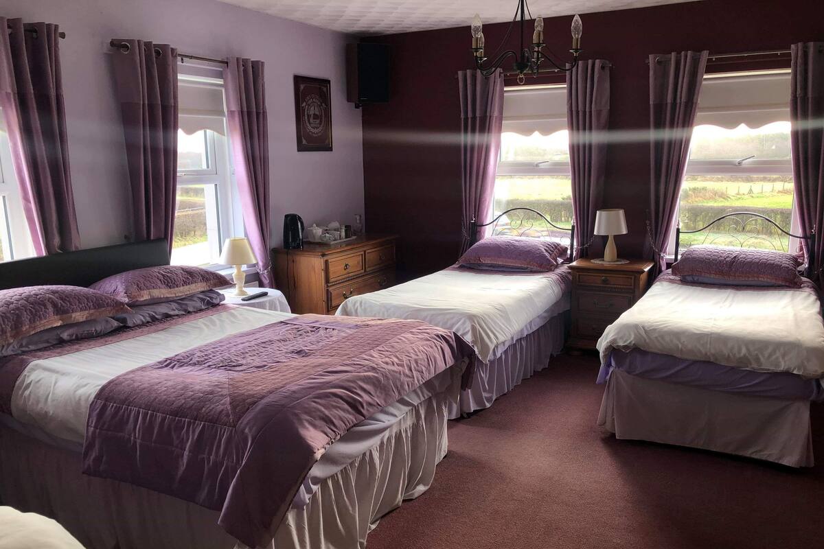 家庭房 | 遮光窗帘、熨斗/熨板、免费 WiFi、床单