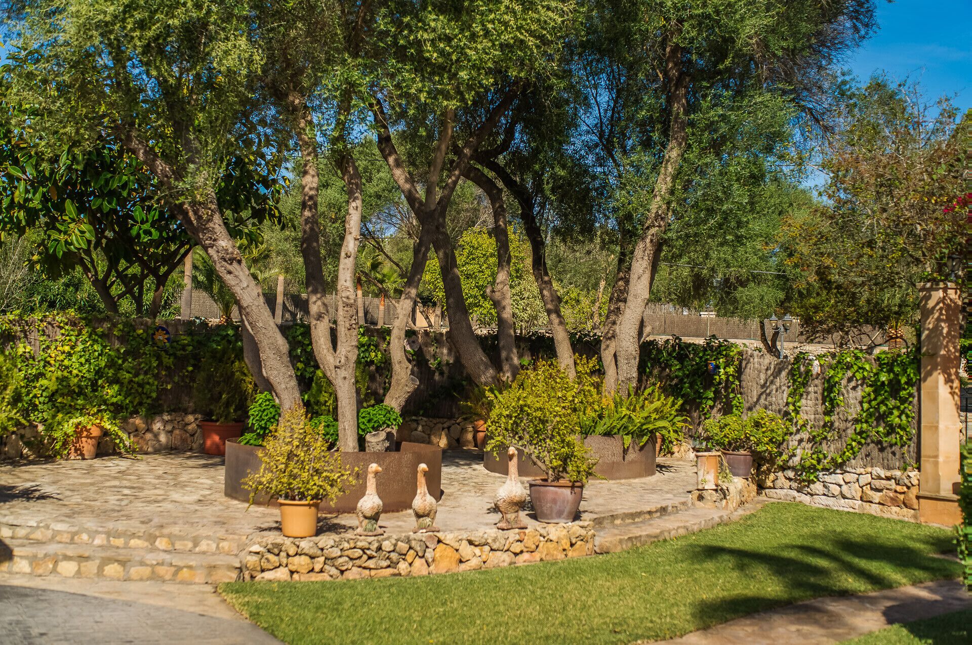 A garden with stone steps, potted plants, and a rustic fence.