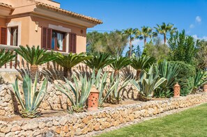 Property grounds - Rural finca with pool Son Morei Gran in Mallorca (Muro)