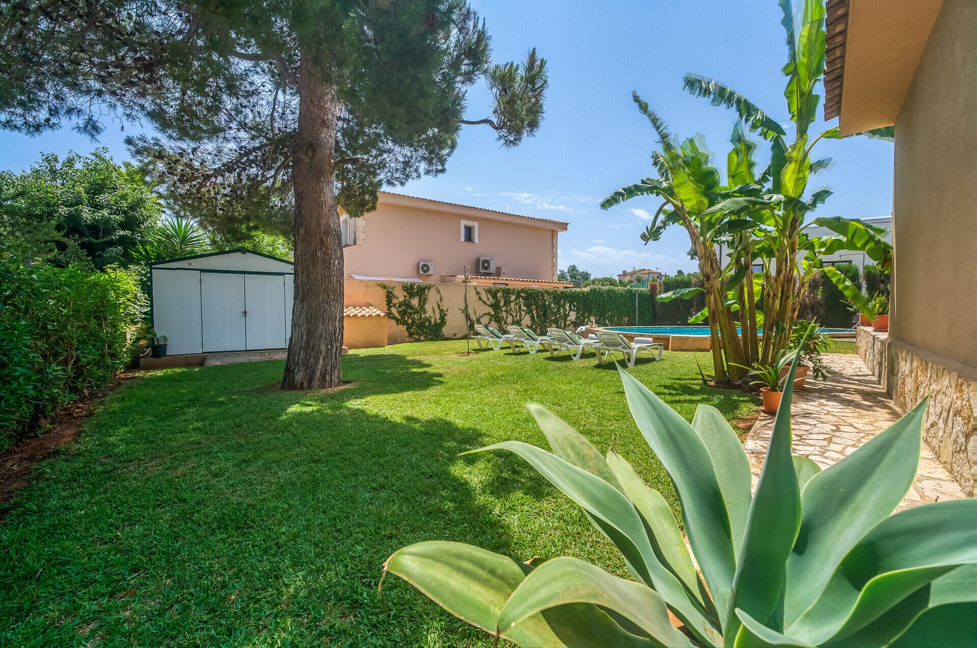 Un jardín bien cuidado con una piscina, un cobertizo y una casa al fondo.