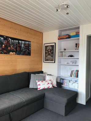 Fernseher, DVD-Player, Bücher