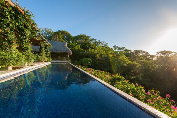 A swimming pool with a thatched-roof structure in the background, surrounded by lush greenery and flowering plants. - Exclusive Two Story Ocean View Home/private Pool ++privacy - Families Welcome! (San Juan del Sur)