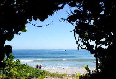 Updated Bella Vista Condo On Carlin Park -Walking Distance to Beach 