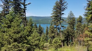 A forested area with tall trees and a lake in the background. - Mountain retreat. (Marion)