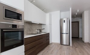 Standard Apartment (Penthouse) | Private kitchen - MegaStay (Moscow)