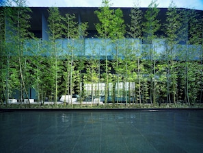 Terrace/patio - THE MEIBIA MIYAZAKI (Miyazaki)