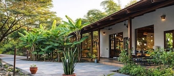Mahua Tola Tadoba