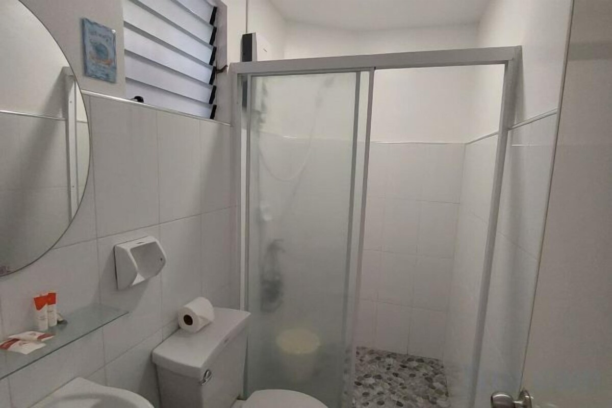 A bathroom with a toilet, a glass-enclosed shower, and a mirror.