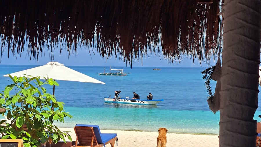 Avila's Horizon Dive Resort