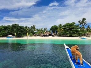 Front of property - Avila's Horizon Dive Resort (Daanbantayan)
