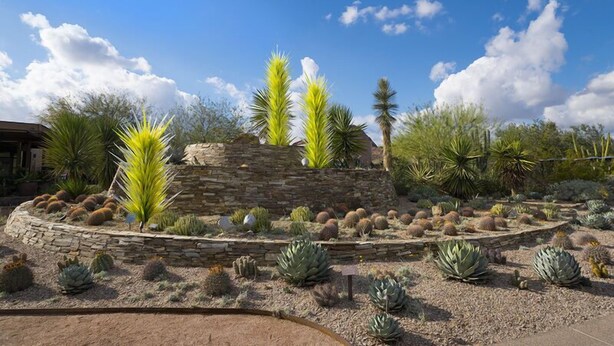 Een woestijntuin met diverse cactussen en vetplanten, een stenen muur en een heldere blauwe lucht.