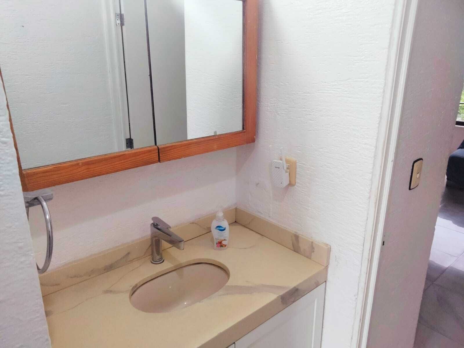 A bathroom with a sink, mirror, and a bottle of hand soap.