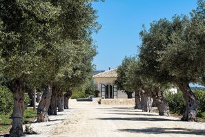 Property grounds - Terra Mia (Avola)