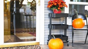 A door with a glass panel, a black metal shelf with a red flower arrangement, and two pumpkins on a chair. - Quiet, Convenient Location w/ Great Amenities-Full Kitchen-Washer/Dryer-5g Wifi  (Hyrum)
