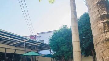 Piscina con escalones de acceso, rodeada de palmeras y una zona cubierta con mesas y sillas.