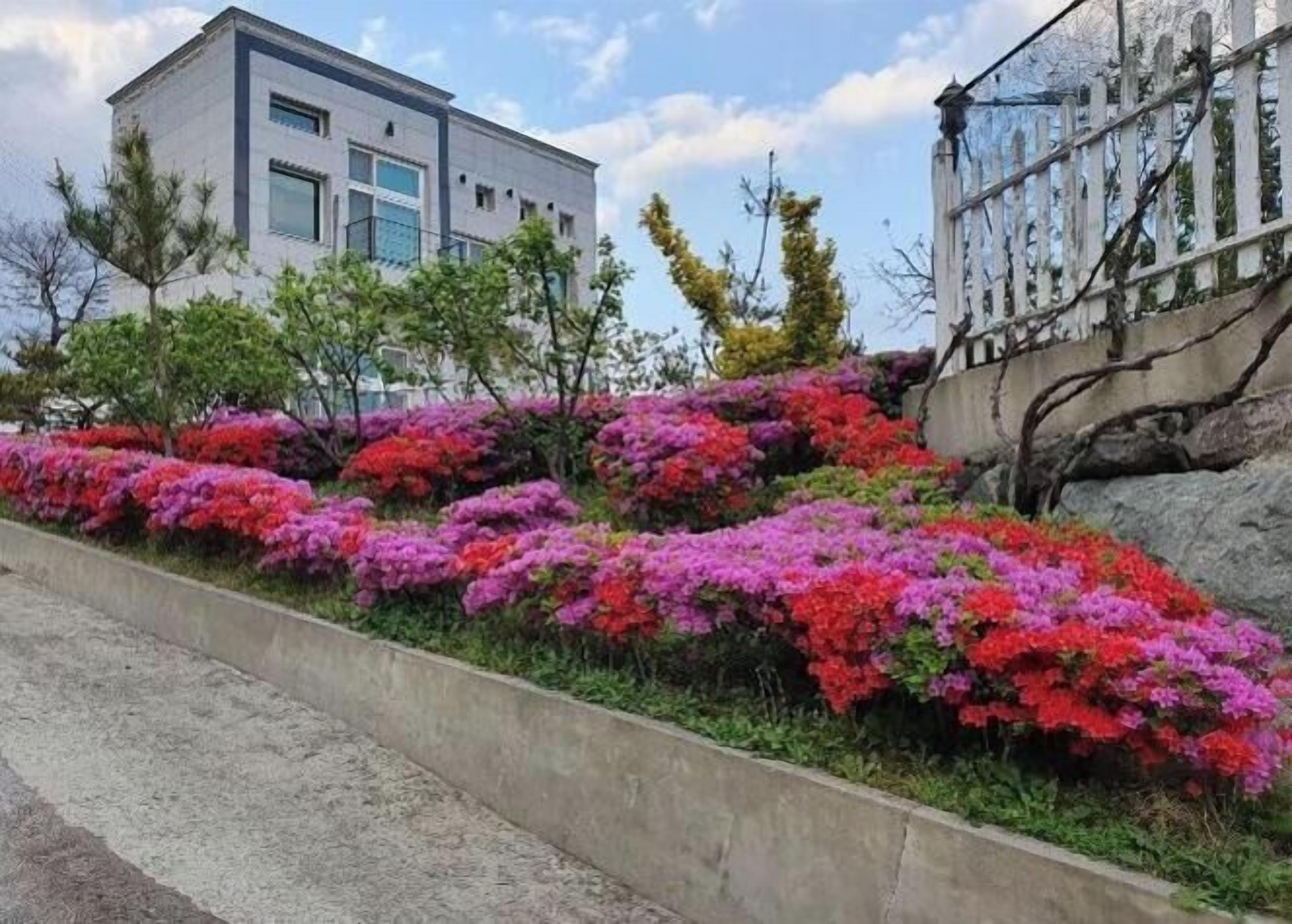 Un edificio moderno con un camino de hormigón y flores rosadas y rojas brillantes en primer plano.