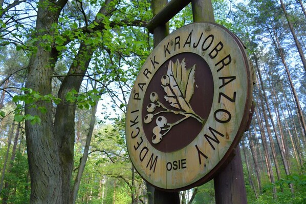 Land view from property - Willa tuŻur (Osie)