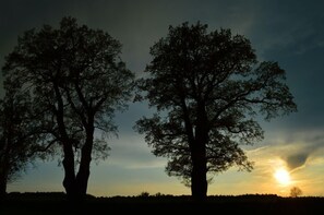 Land view from property - Willa tuŻur (Osie)