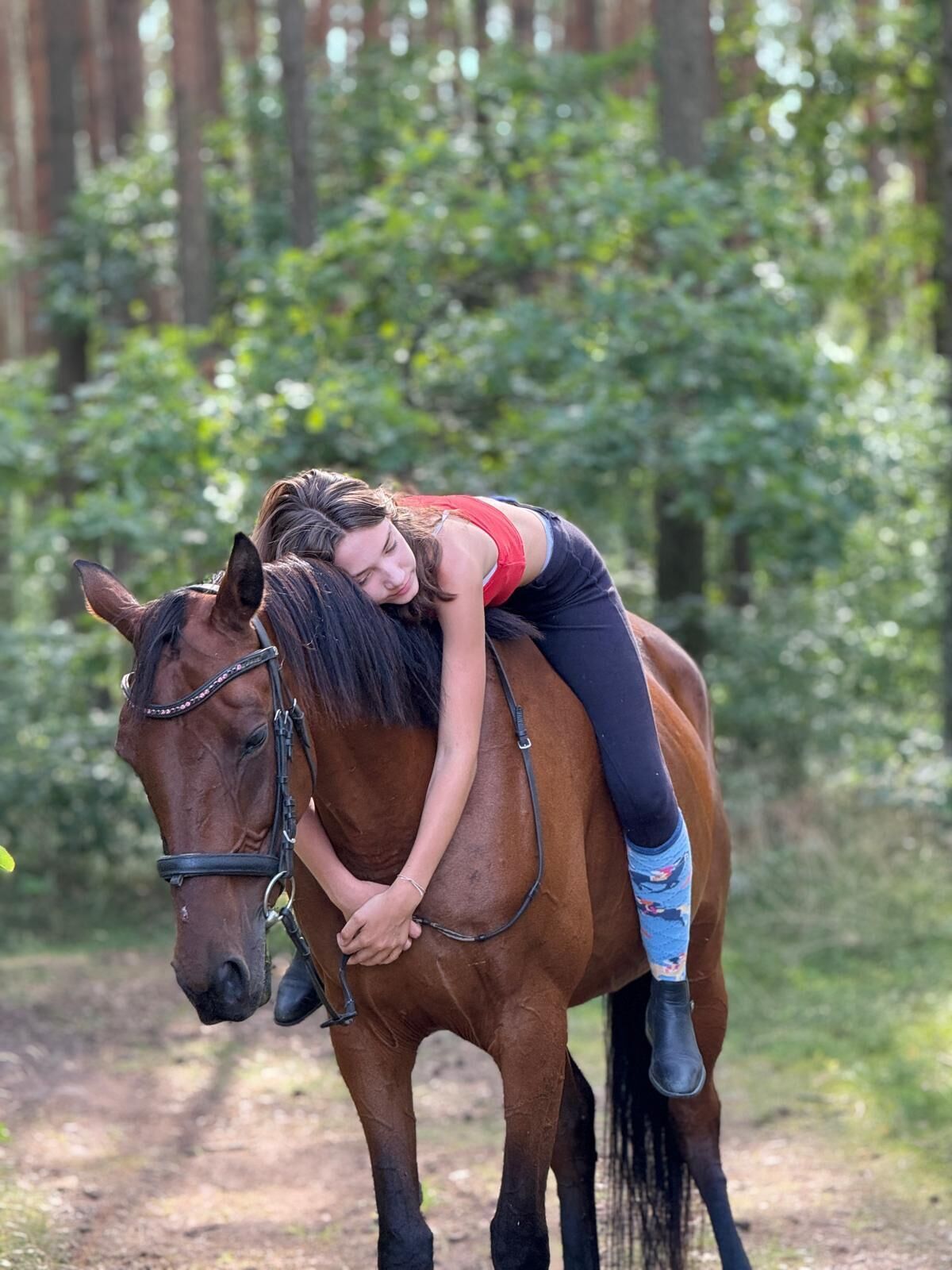 Une personne à cheval, sur un chemin de terre bordé d’arbres.