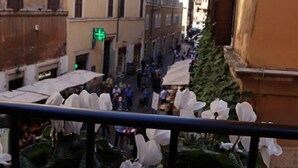 A narrow street with buildings on either side, a green traffic light, and a row of white flowers in the foreground. - Millina Suites In Navona (Rome)