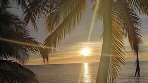Escena de playa con palmeras, una persona sentada en la arena y el sol poniéndose sobre el agua.